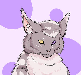 by meameamealokkapoowa.nana on Discord
