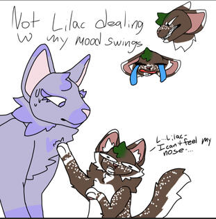 by Bxunsi on Fandom; spotted cat belongs to them